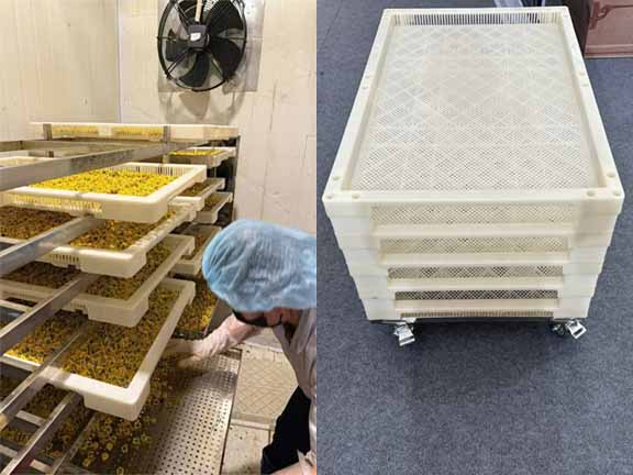 Doanh nghiệp trong ngành sấy tiết kiệm được chi phí khi sử dụng khay sấy nhựa.