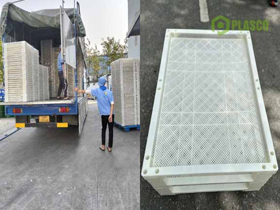 Gia công khay sấy nhựa theo yêu cầu