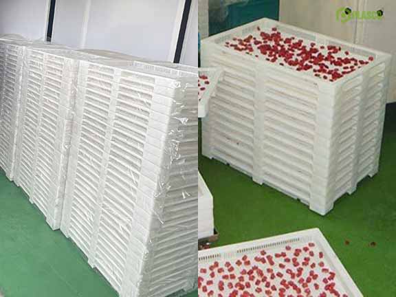 Khay sấy nhựa có bị cong vênh khi gặp nhiệt độ cao trong phòng sấy không?